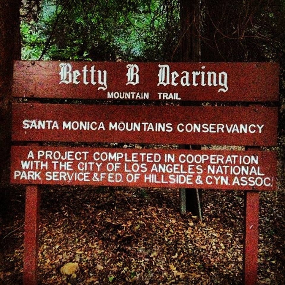 Wilacre Park