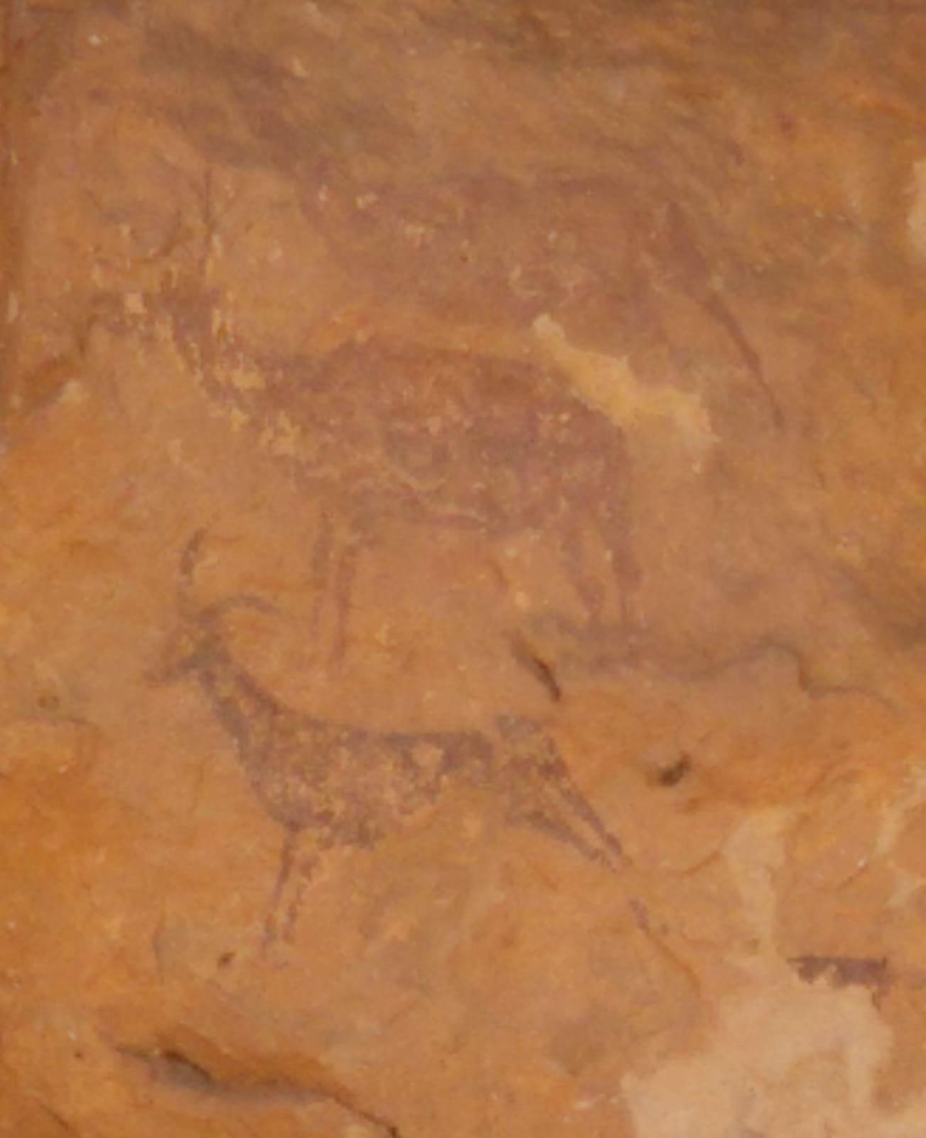 Cueva de la Arana