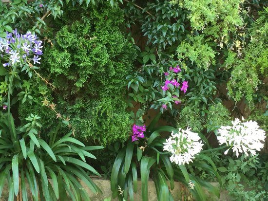 Jardin botanique