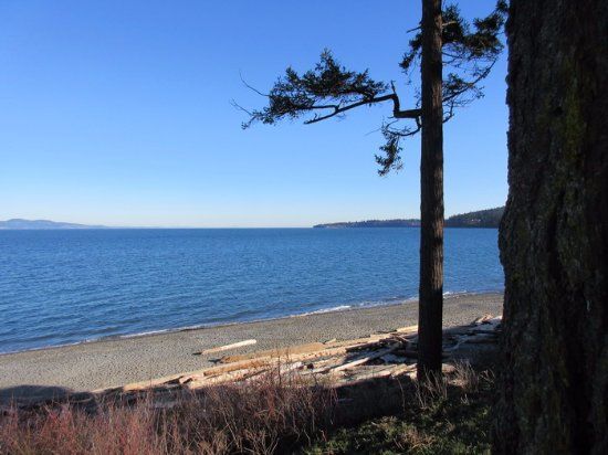 Mc Morran Park