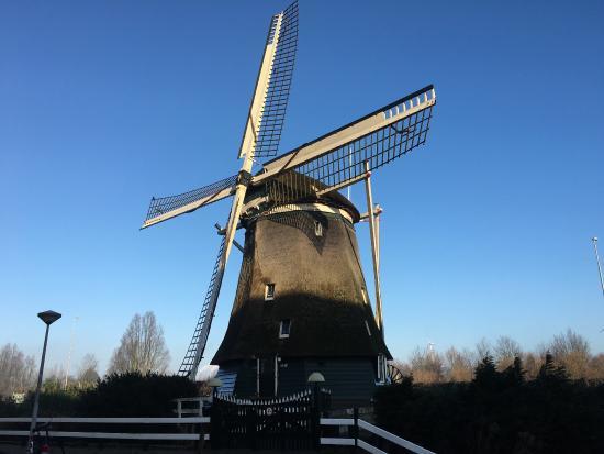 Water Mill 1200 Roe