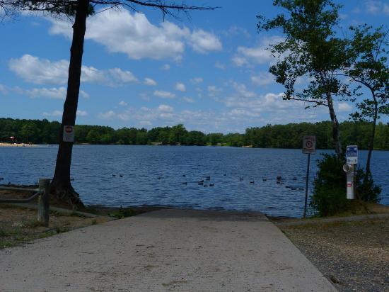 Five Mile Pond Park