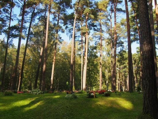 The Woodland Chapel