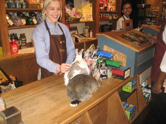 Cracker Barrel