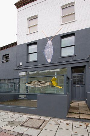 Flat Time House