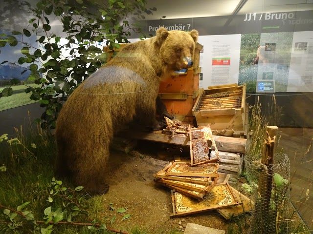 Museum of Man and Nature
