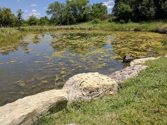 Chisholm Creek Park