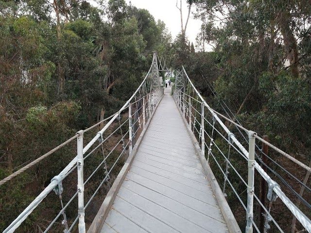 Spruce Street Footbridge