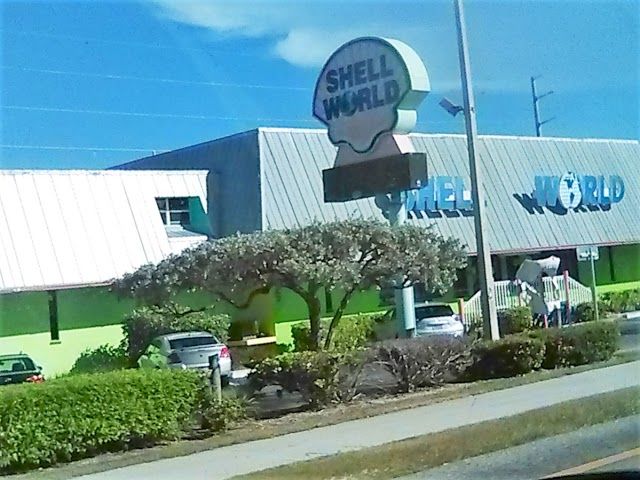Shell World