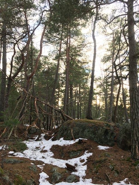 Alvsjoskogen