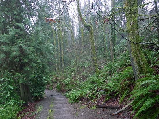 Ravenna Park