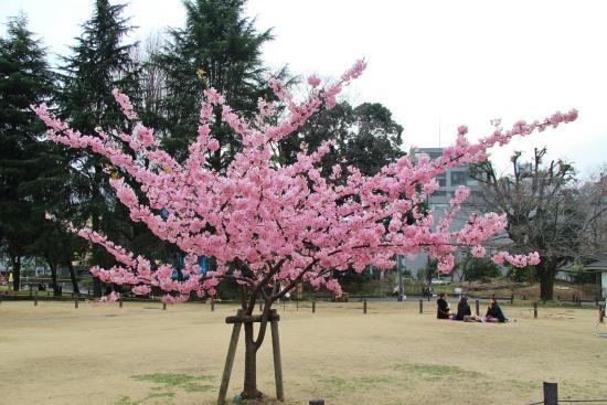 Sugekari Park