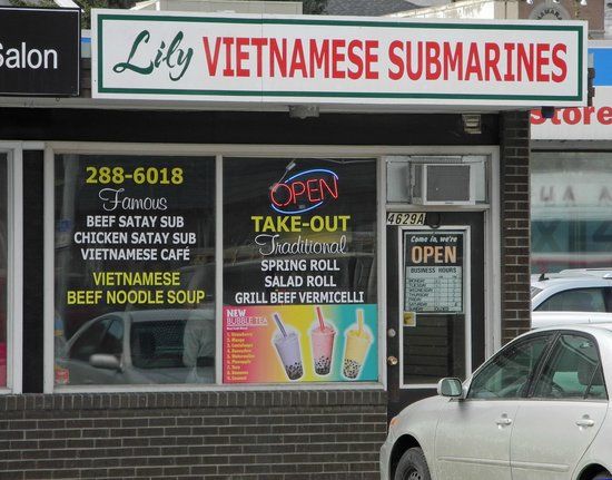 Lily Vietnamese Submarines