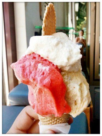 Gelatario