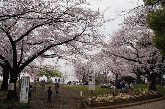 Saigoyama Park