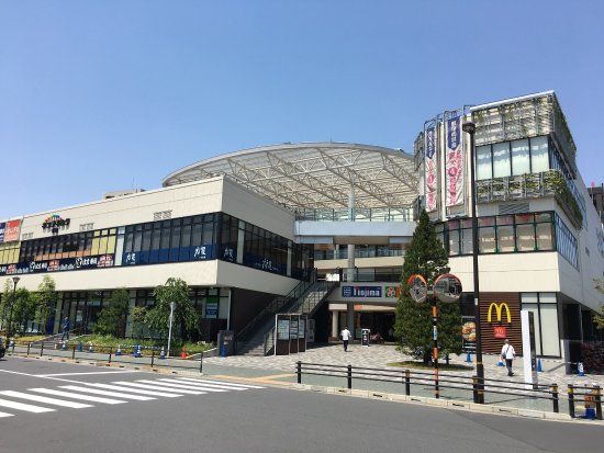 Ponte Porta Senju