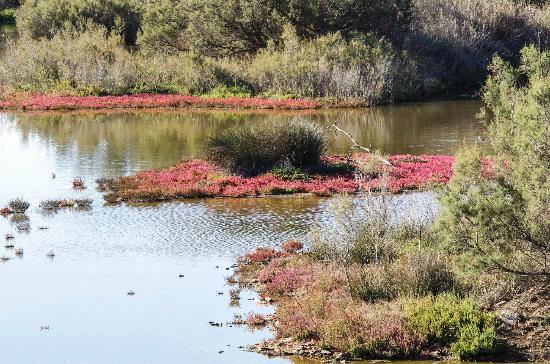 Rio Guadalhorce Nature Reserve