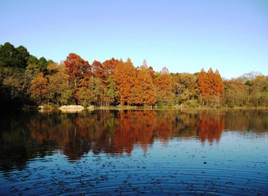 Shakujii Park