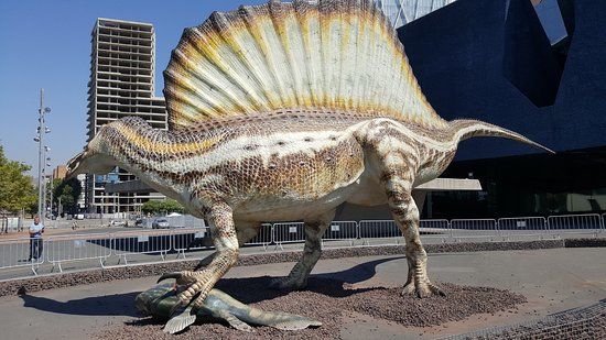 Natural Science Museum of Barcelona