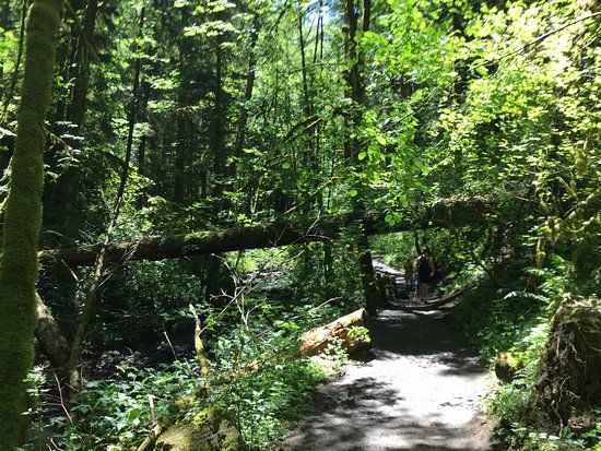 Macleay Park