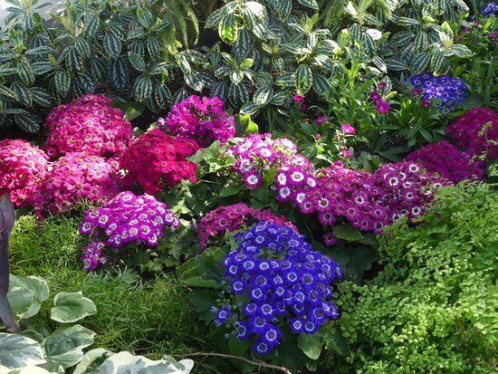 Bike Rentals at Corktown Common