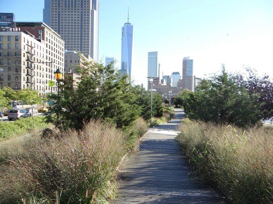 Madison Square Garden