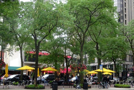 Biking the Lakefront Trail