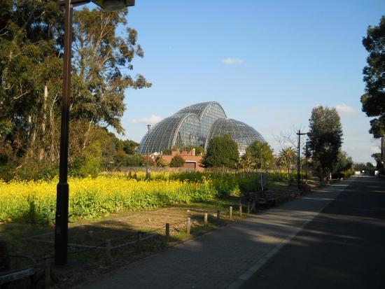 Yumenoshima Park