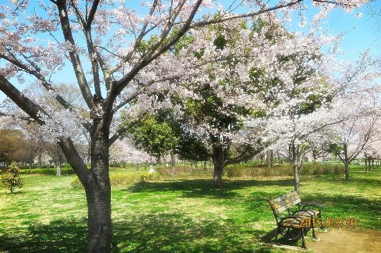 Toneri Park