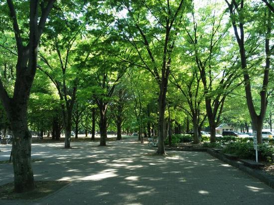 Roka Koshun-en Gardens