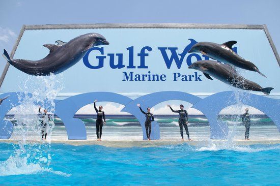 Gulf World