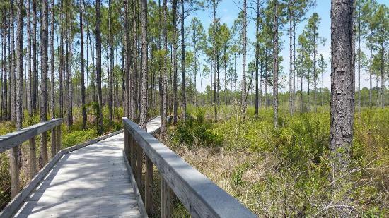 Conservation Park