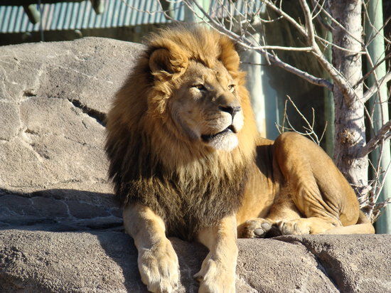Sedgwick County Zoo