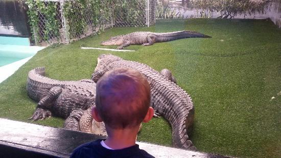 Seaport Aquarium