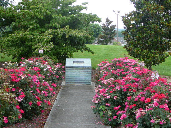 McMahan Mound Site