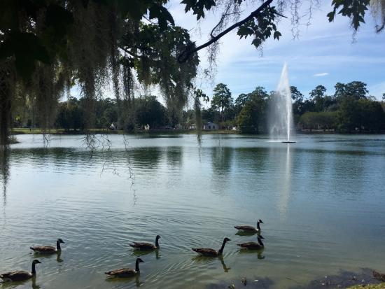 Echalee Mexican Grill