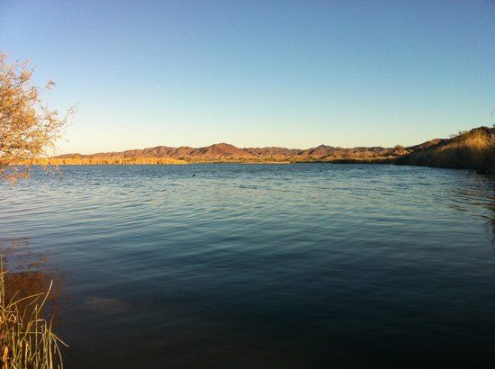 Mittry Lake Wildlife Area