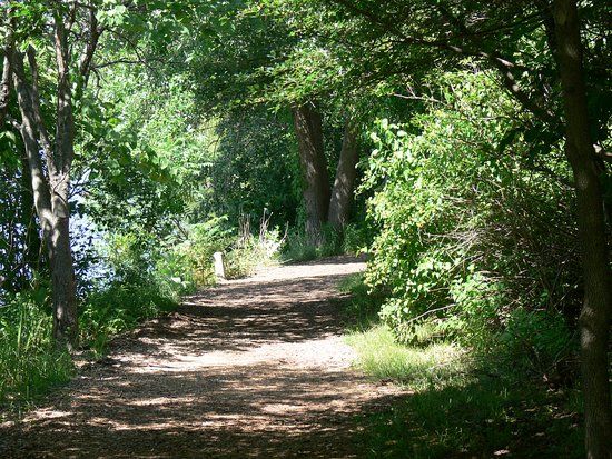 Lincoln Memorial Garden & Nature Center