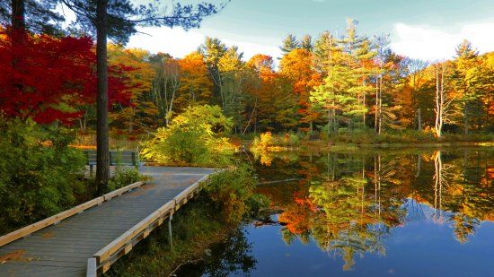 Pleasant Valley Sanctuary