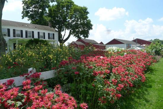 Terhune Orchards & Winery