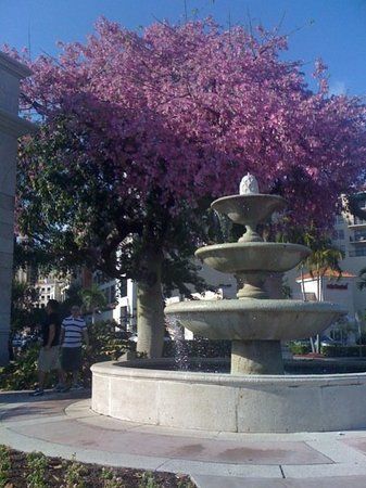 Miracle Mile