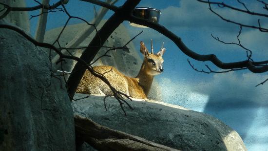 Staten Island Zoo