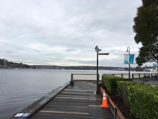 Kayaking on Lake Union