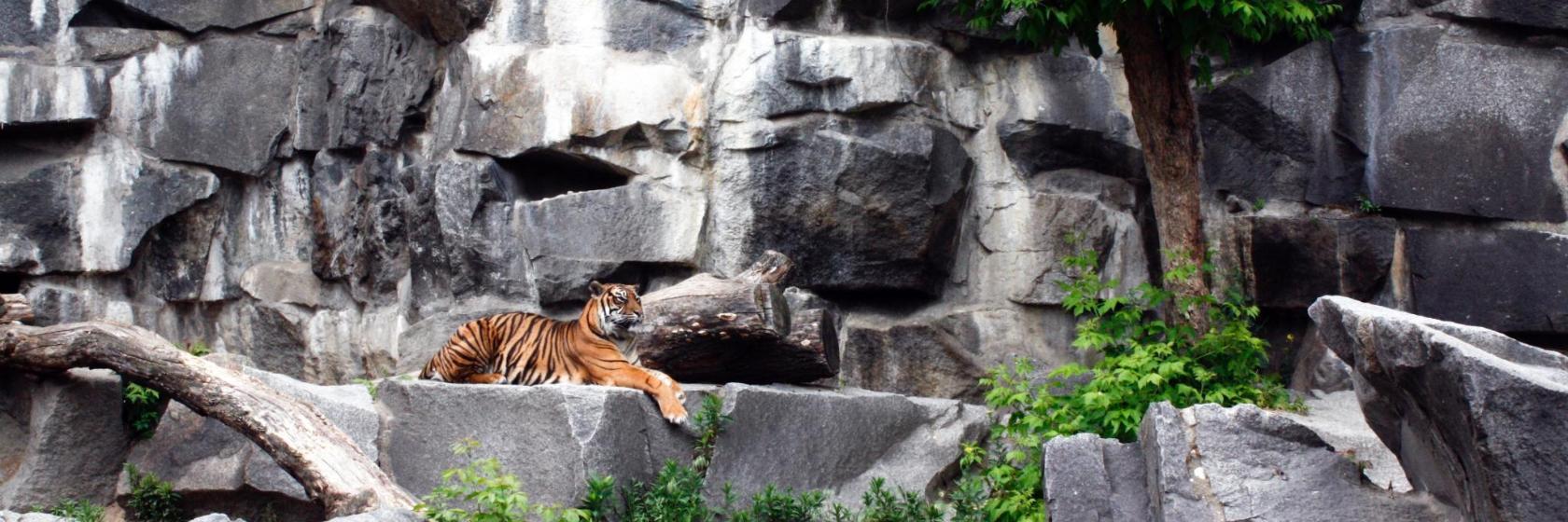 Tierpark Berlin