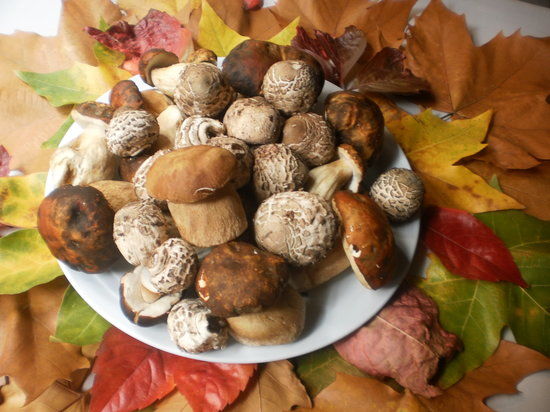 Mencia Restaurante