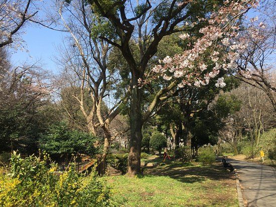 Toyama Park