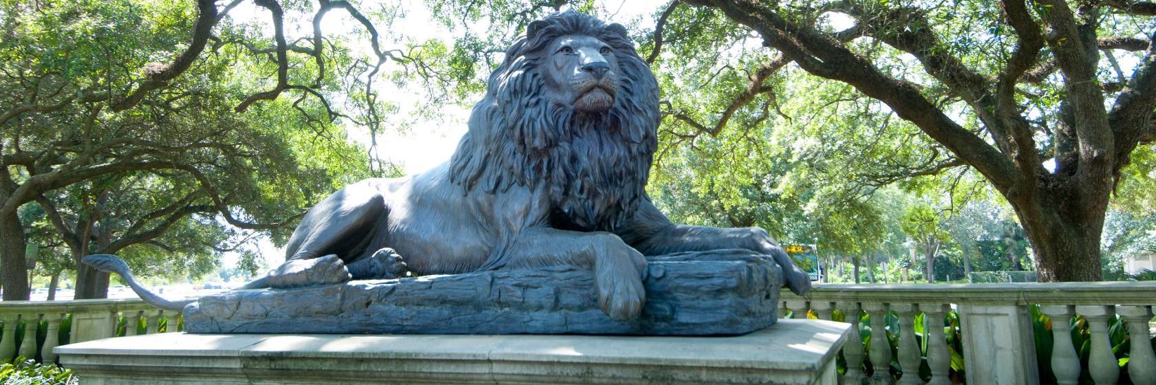 Audubon Zoo