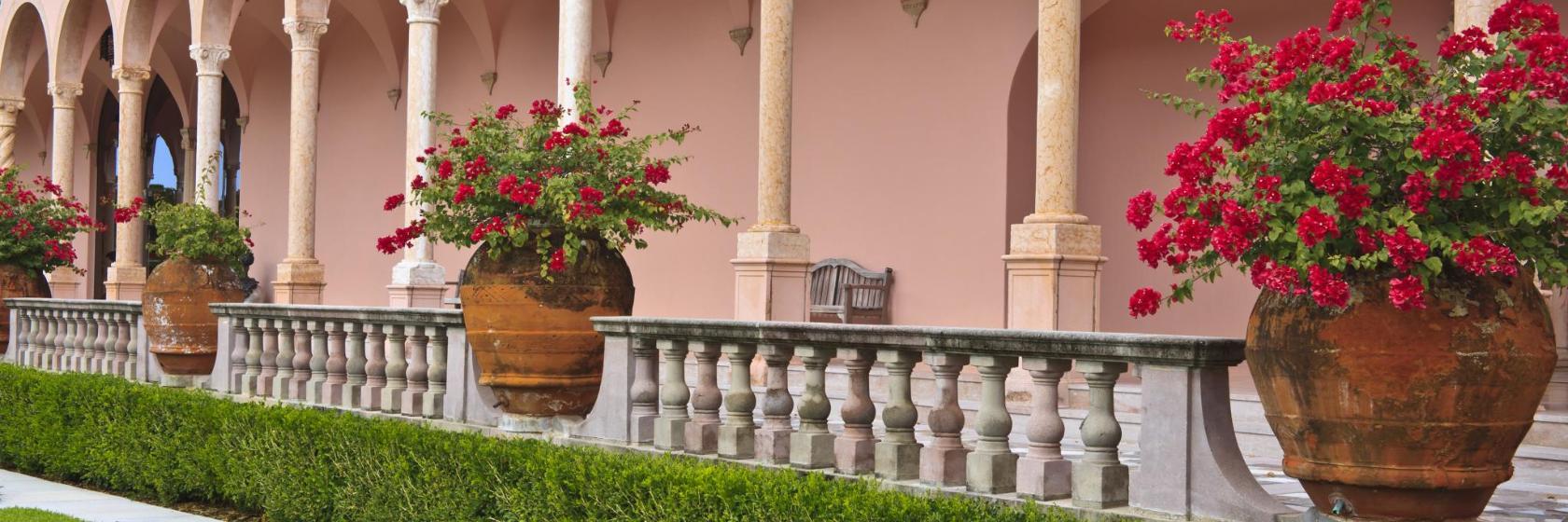 The Ringling