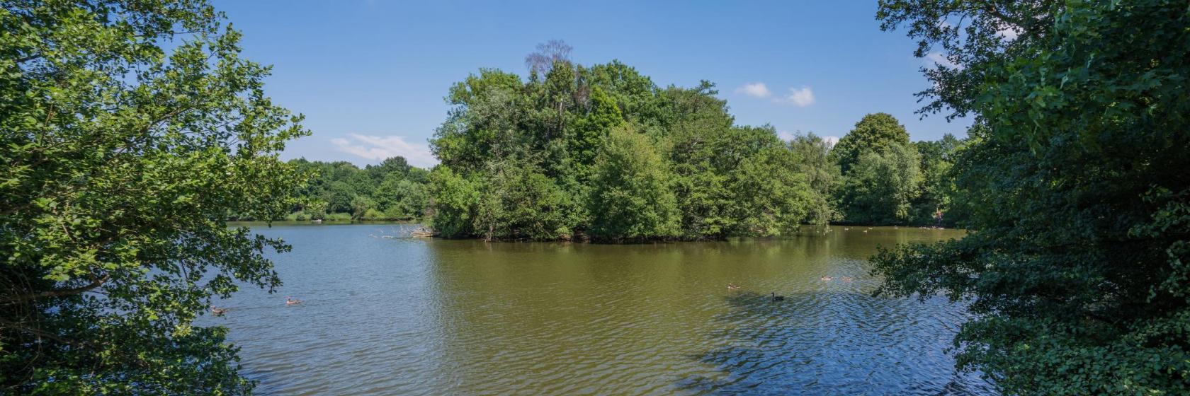 Bramfelder See