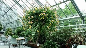 Botanical Volkspark Pankow Blankenfelde